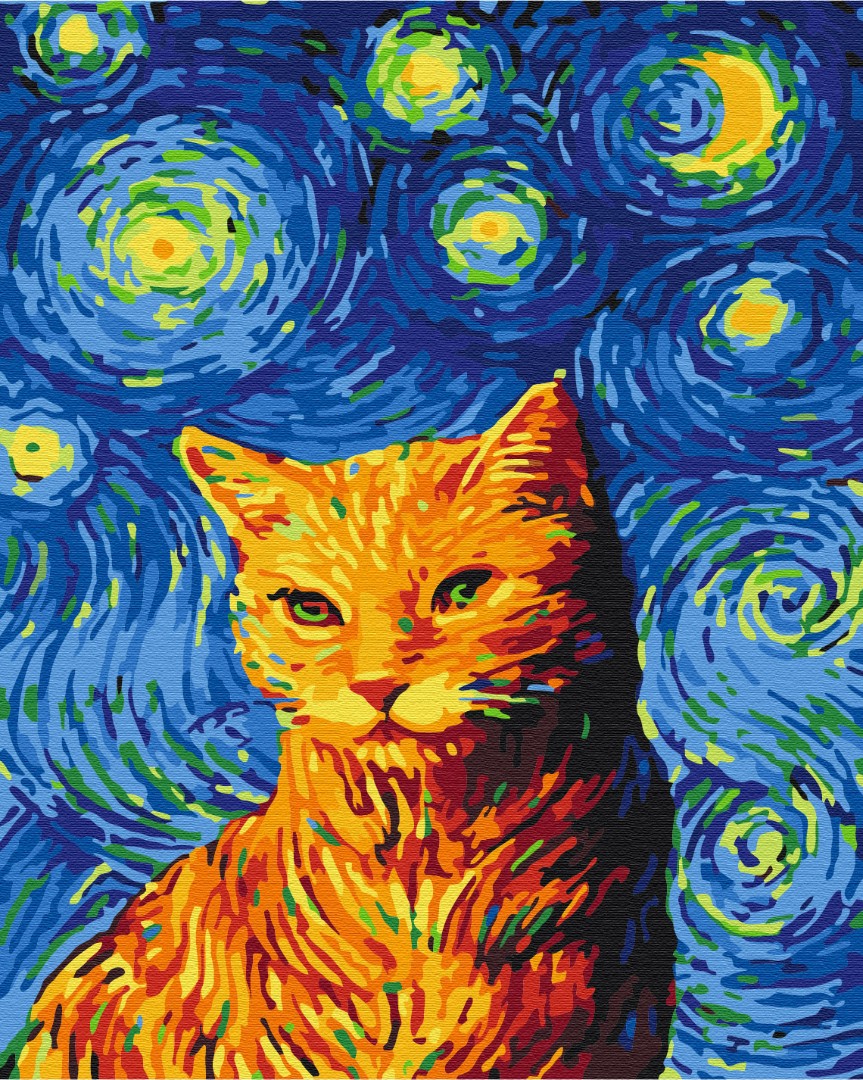 Painting by numbers Cat on a starry night (BS35619)
