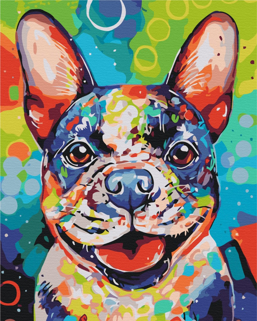 Painting by numbers Bright dog (BS38448)