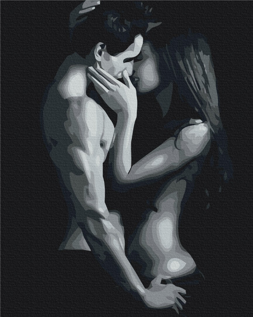 Painting by numbers Black and white passion (BS52400)