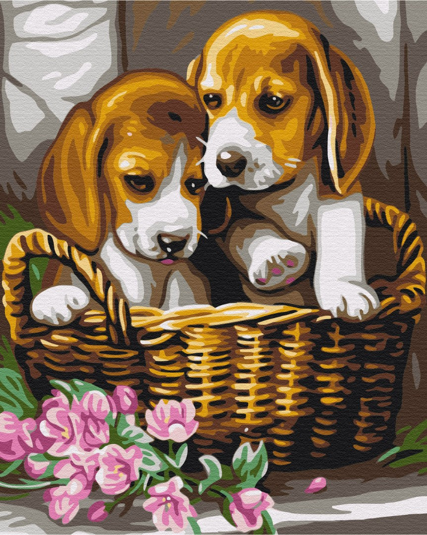 Painting by numbers Couple in the basket (BS29695)