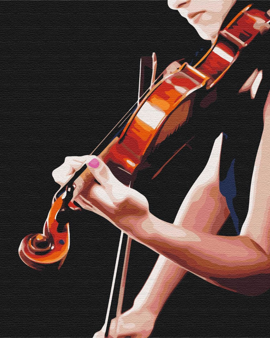 Painting by numbers Harmony sounds (BS51758)
