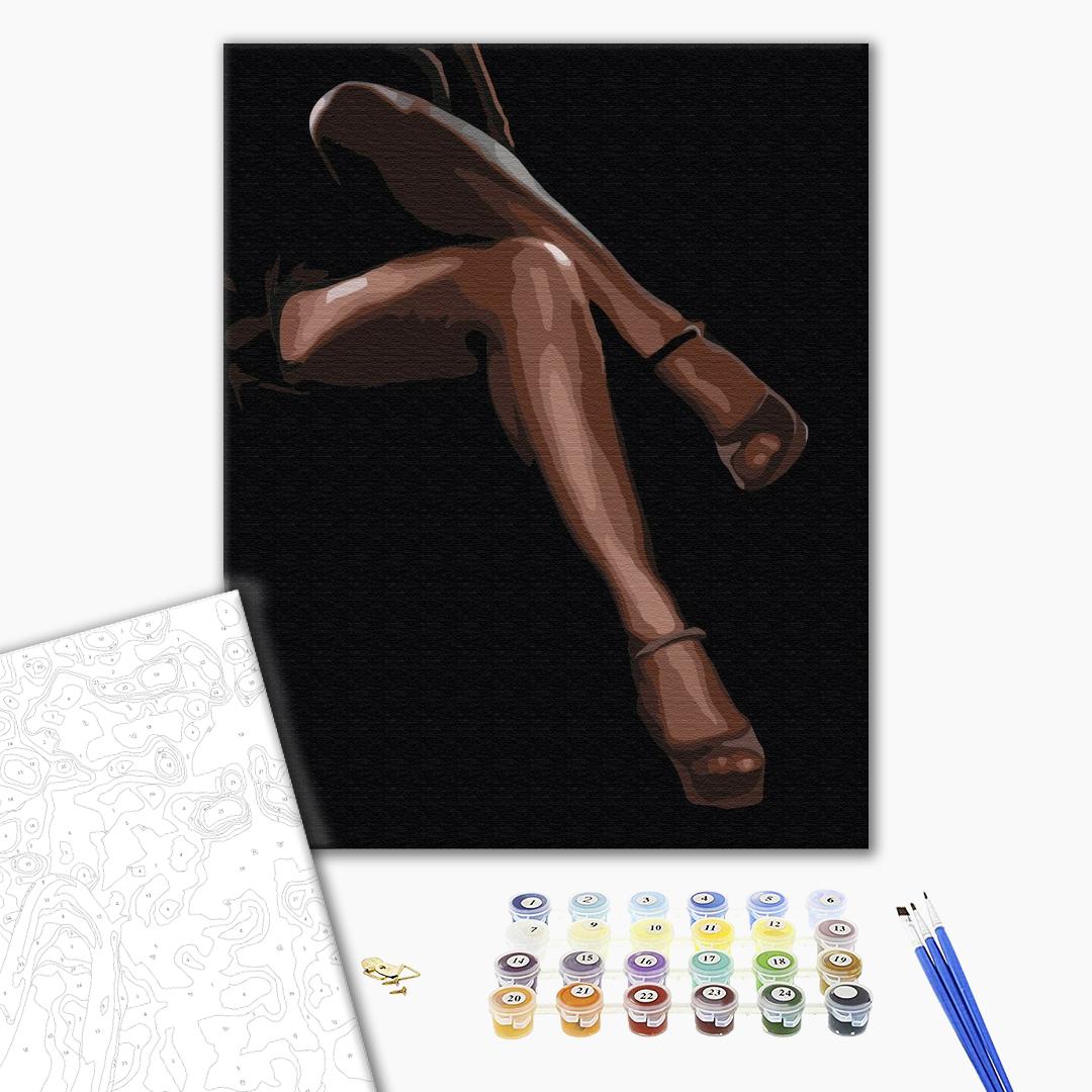 Painting by numbers Graceful passion (BS52462)