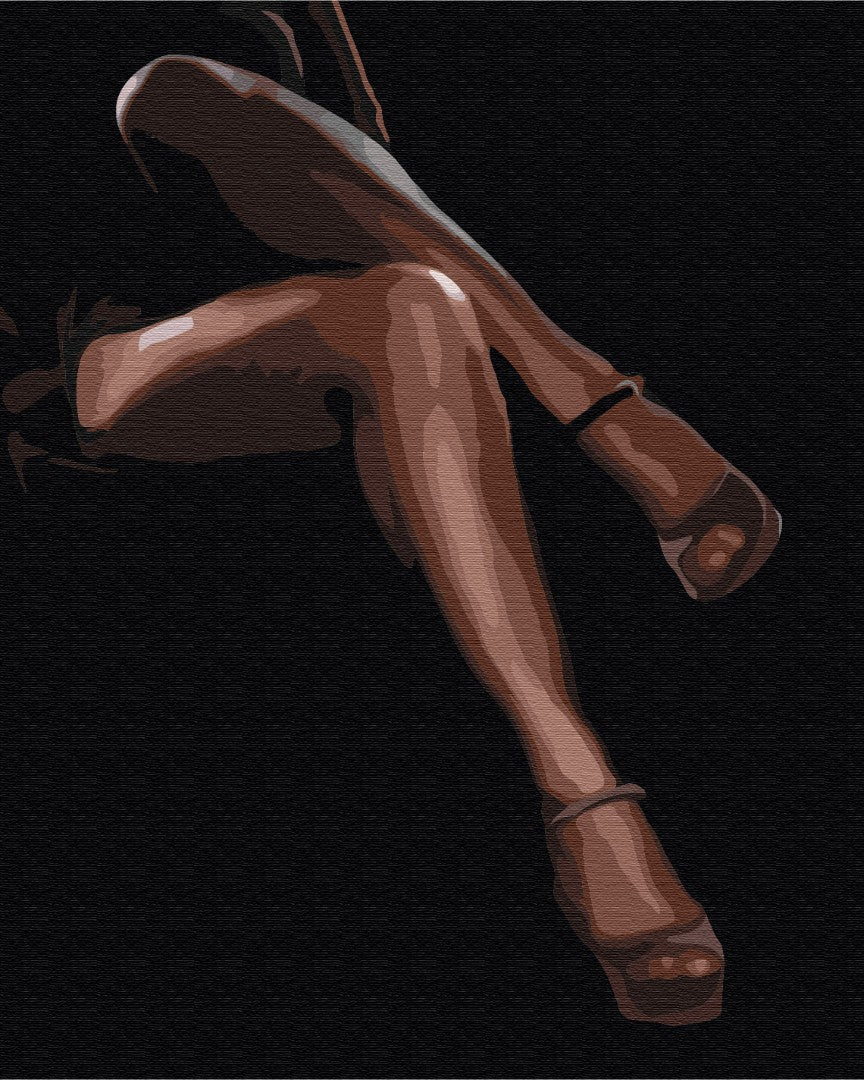 Painting by numbers Graceful passion (BS52462)
