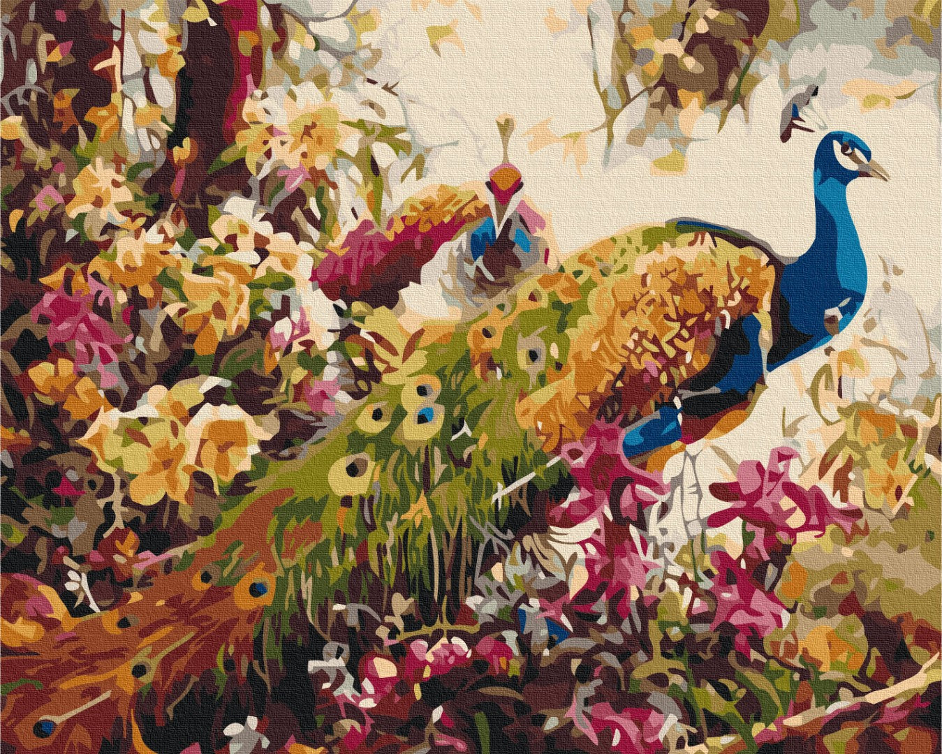 Painting by numbers Blooming peacocks (BS52197)