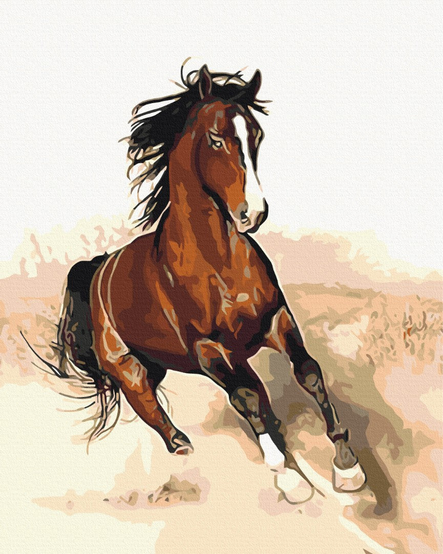 Painting by numbers Horse in motion (BS52202)