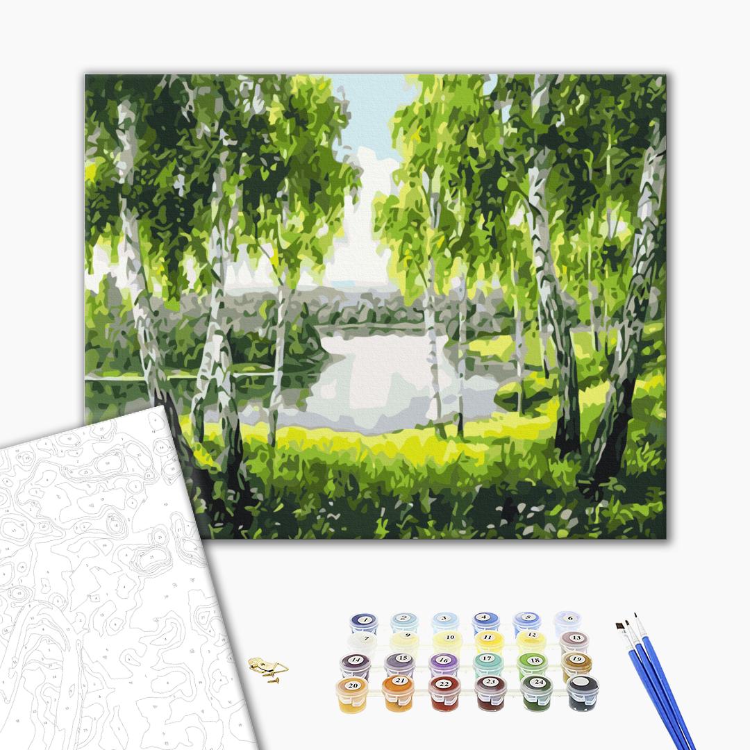Painting by numbers Birch trees since childhood (BS52205)