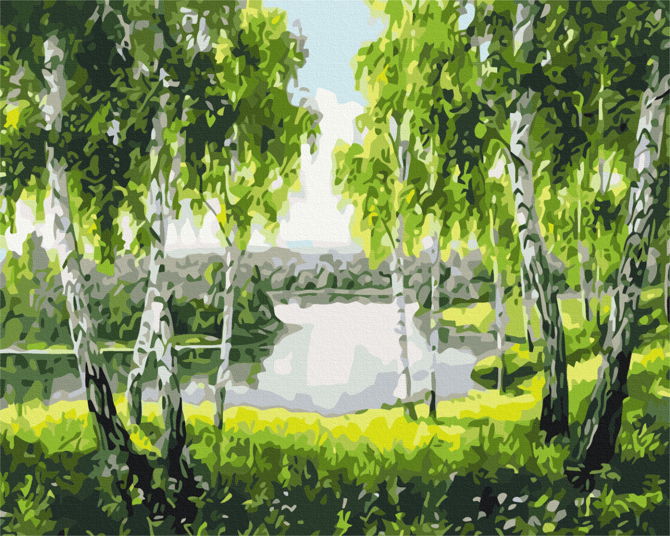 Painting by numbers Birch trees since childhood (BS52205)