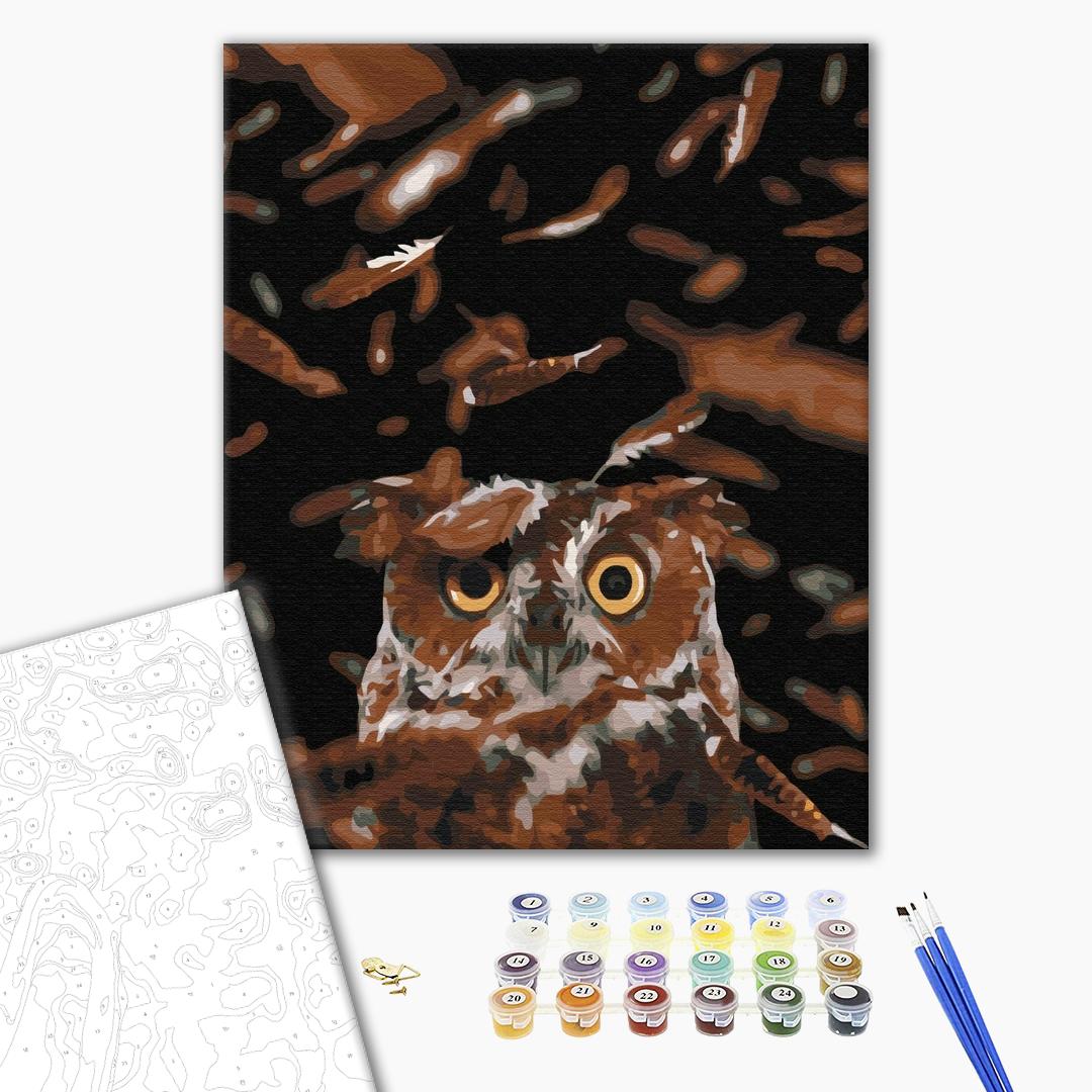 Painting by numbers Clever owl (BS39947)