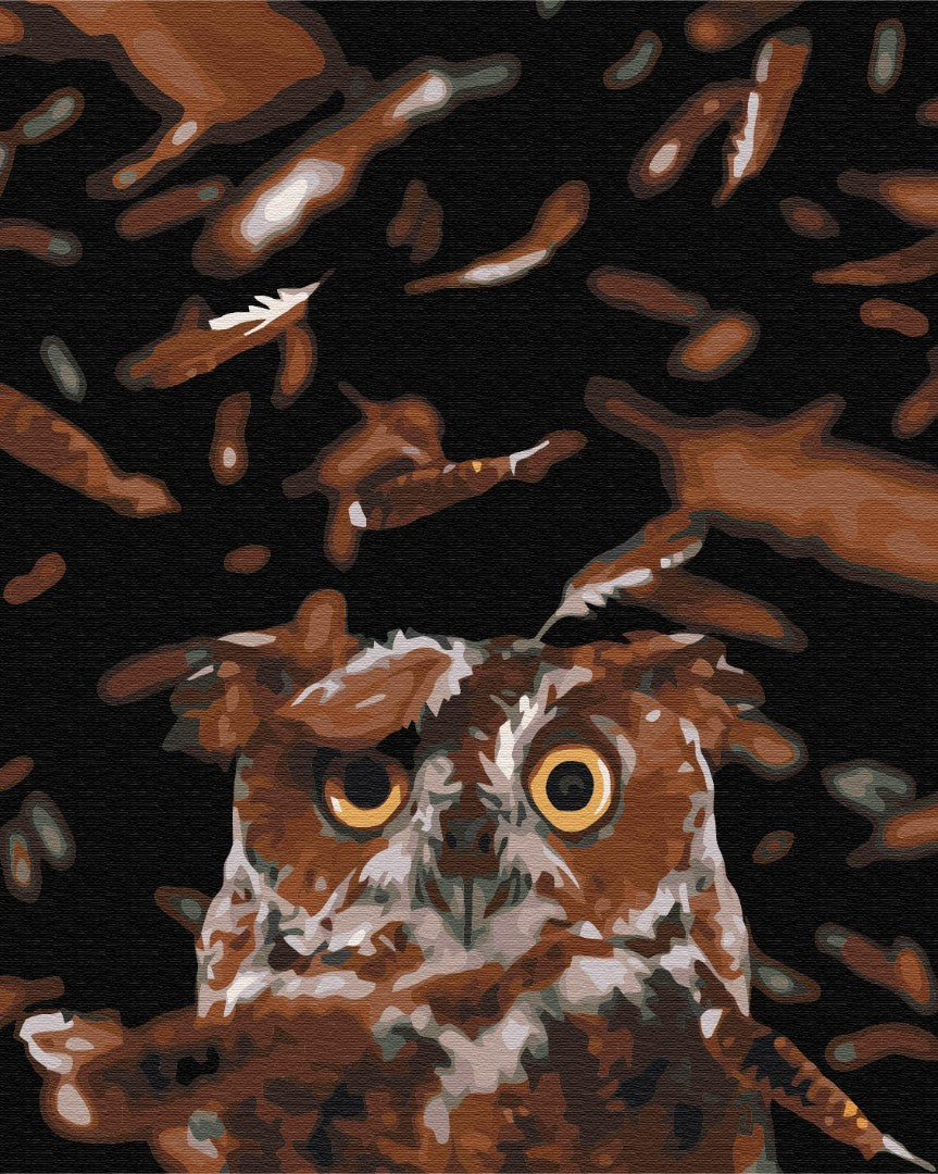 Painting by numbers Clever owl (BS39947)