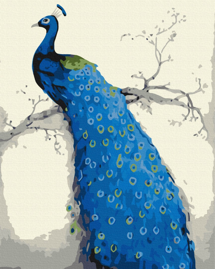 Painting by numbers Blue peacock (BS52249)