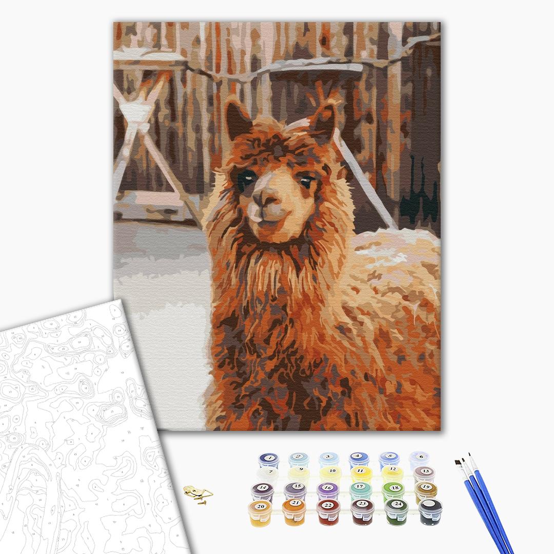 Painting by numbers Llama on the farm (BS52266)