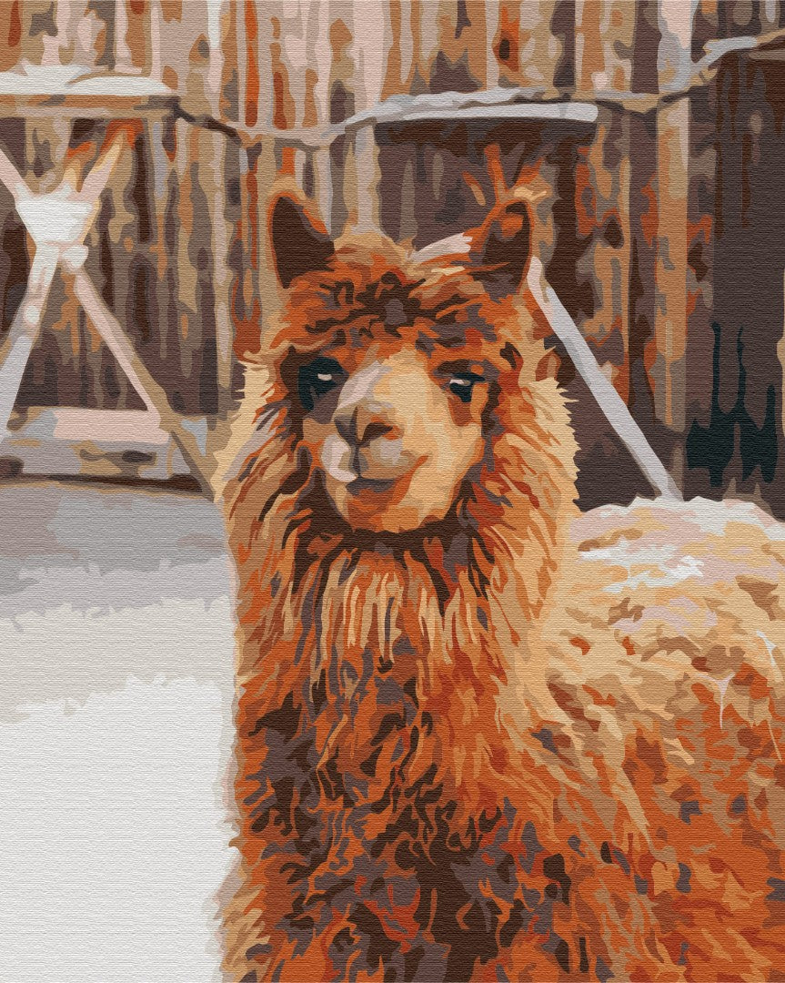 Painting by numbers Llama on the farm (BS52266)
