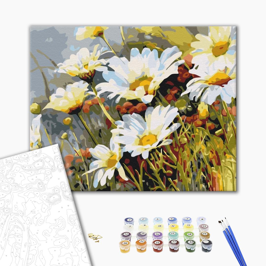 Painting by numbers Strawberries in daisies (BS52280)