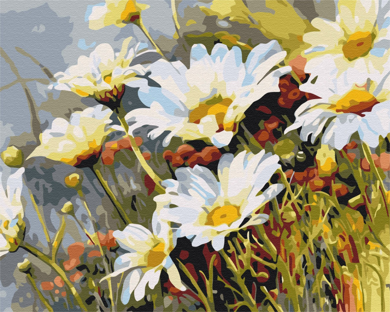 Painting by numbers Strawberries in daisies (BS52280)