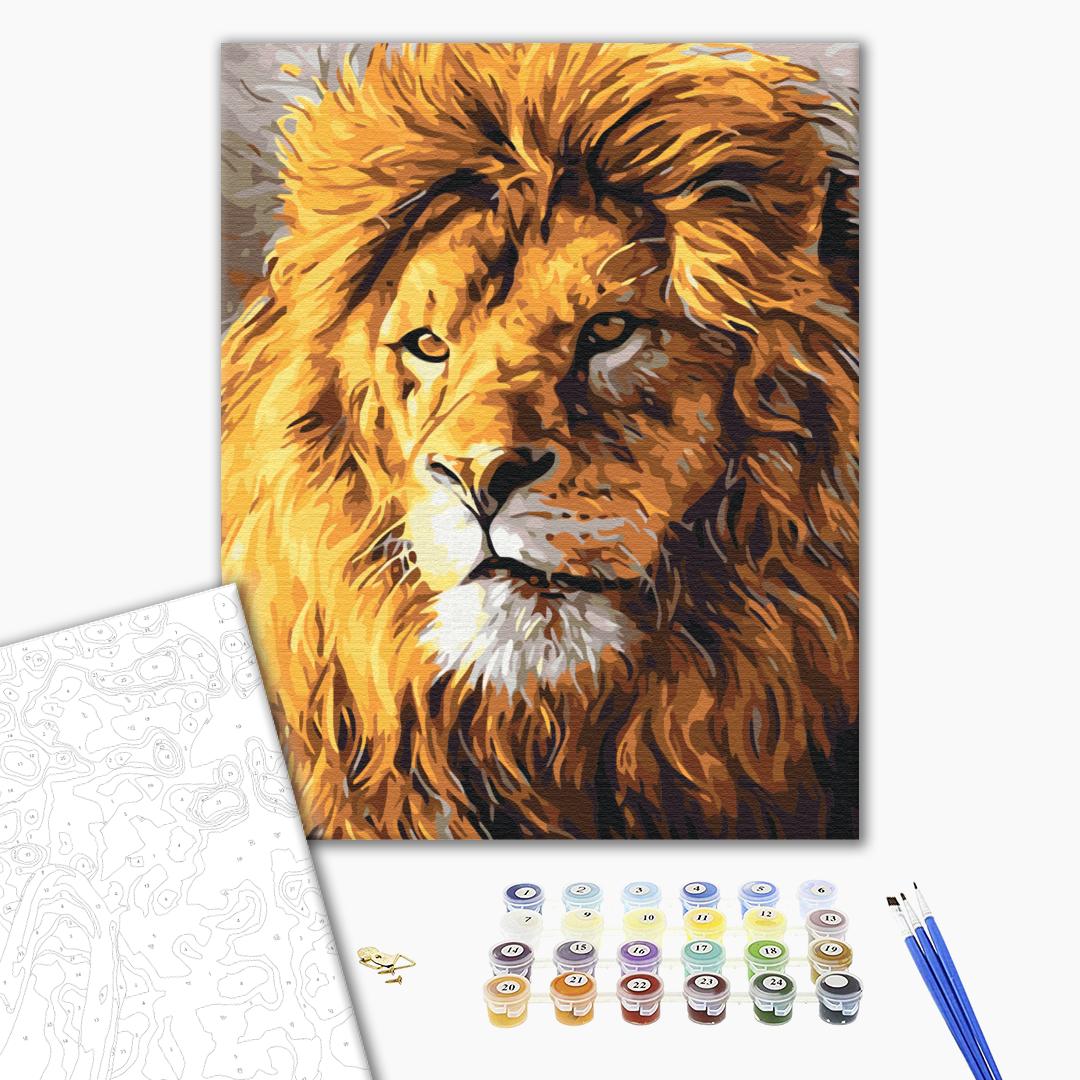 Painting by numbers A look at pride (BS52292)