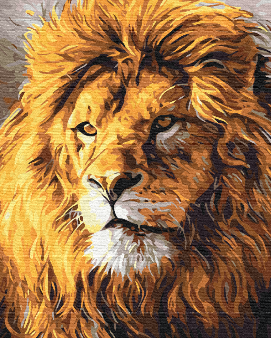 Painting by numbers A look at pride (BS52292)