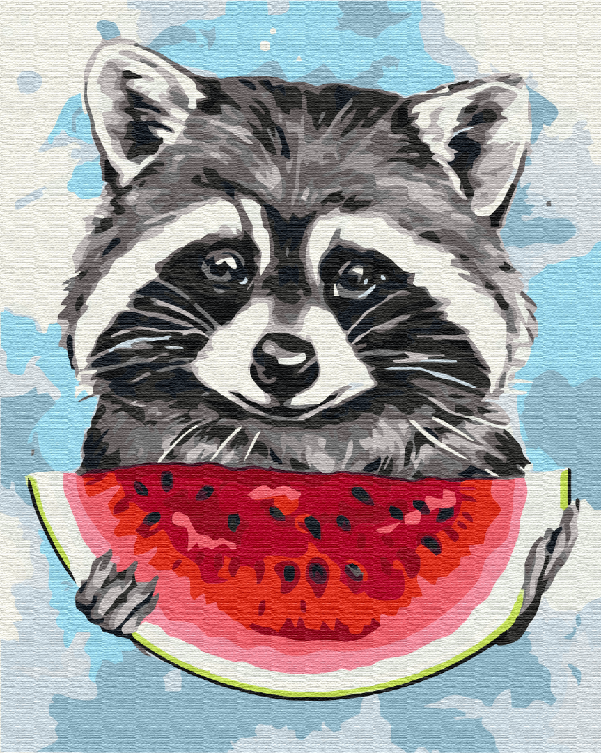 Painting by numbers Summer raccoon (BS51697)