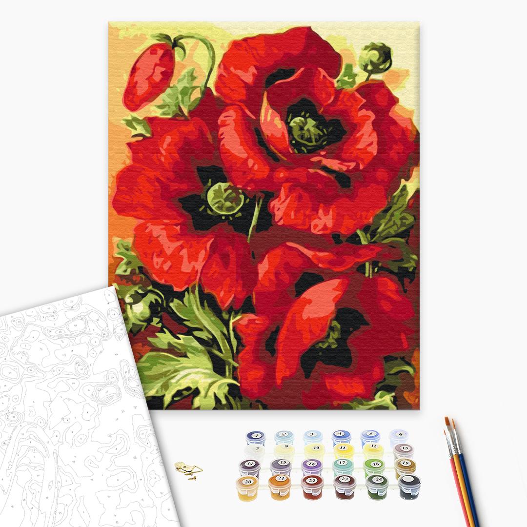 Painting by numbers Print in poppies (BS52284)
