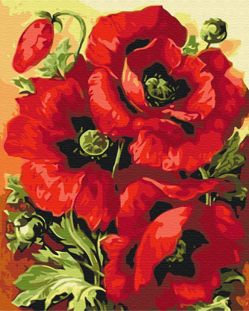 Painting by numbers Print in poppies (BS52284)