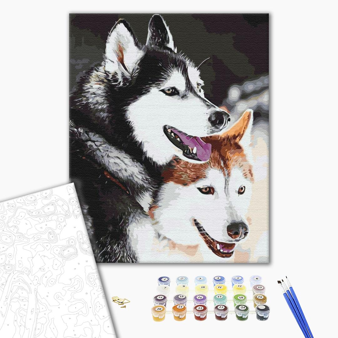 Painting by numbers Husky (BS28714)