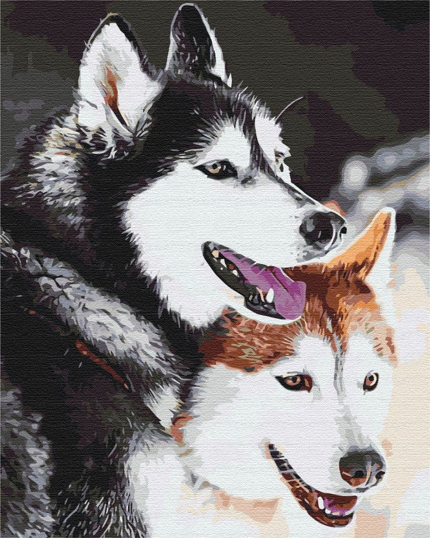 Painting by numbers Husky (BS28714)