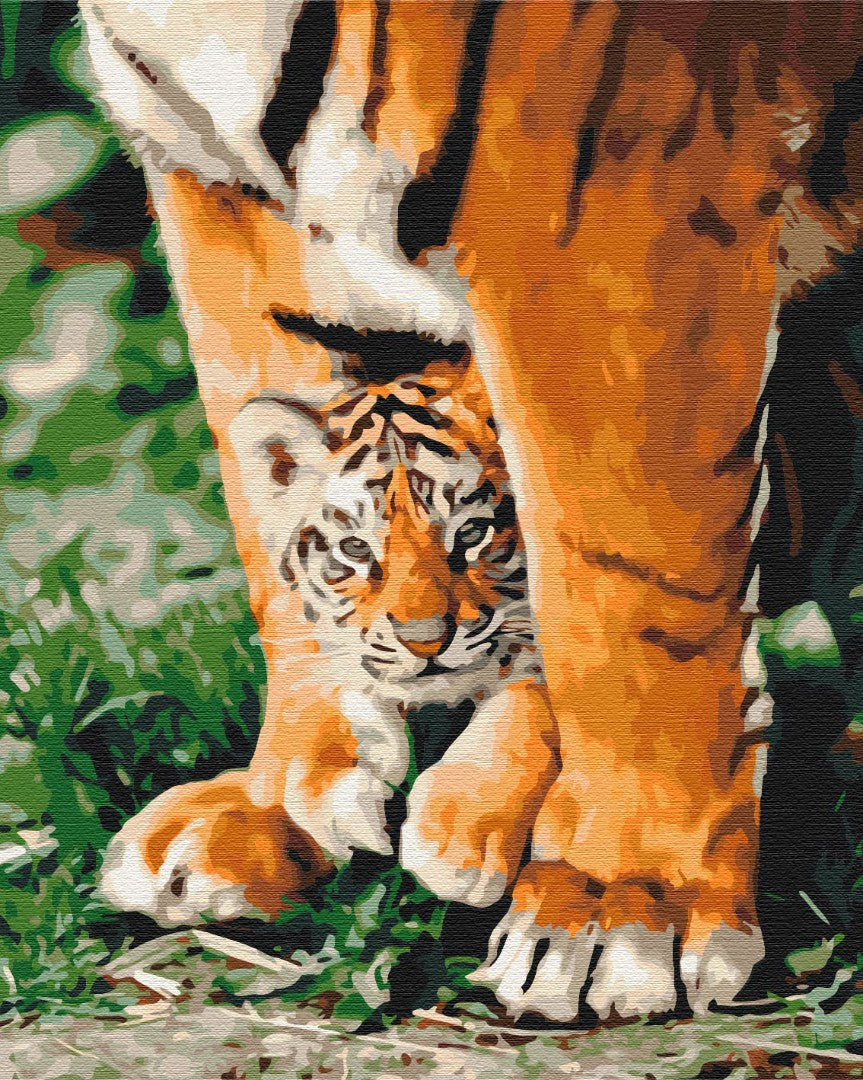 Painting by numbers Tiger cub in mighty paws (BS29947)