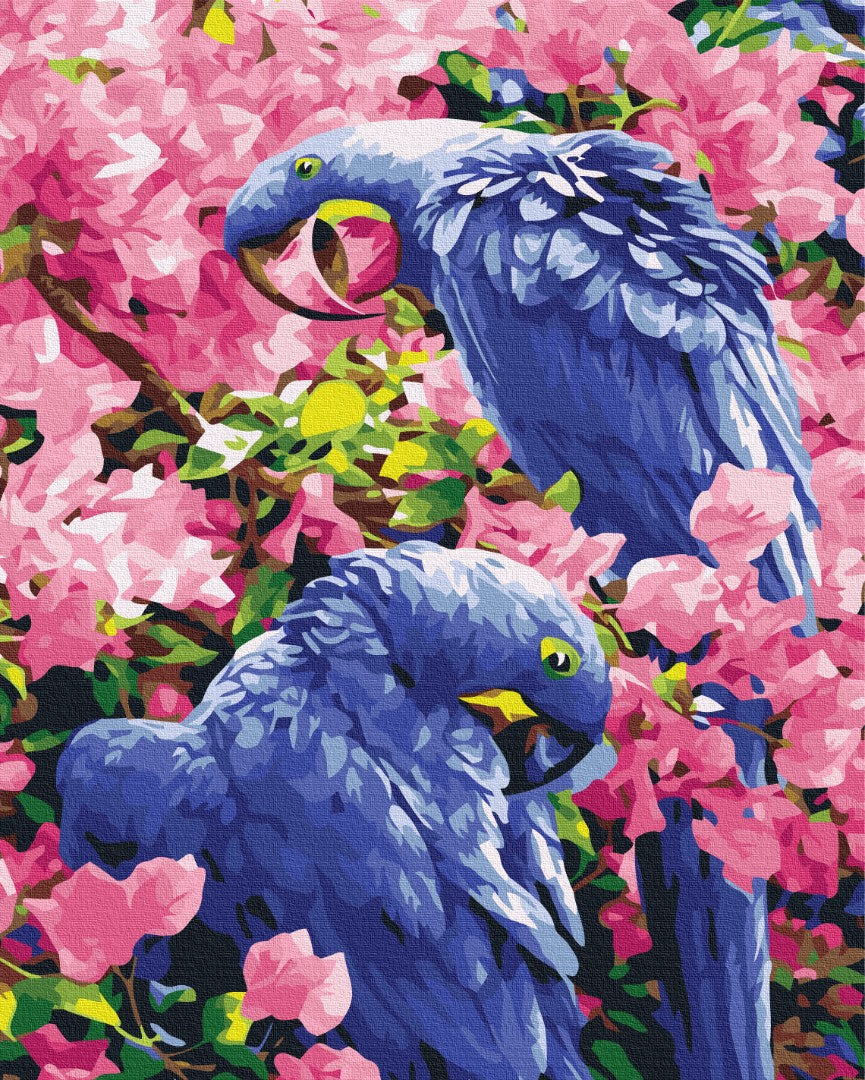 Painting by numbers Birds in flowers (BS25245)