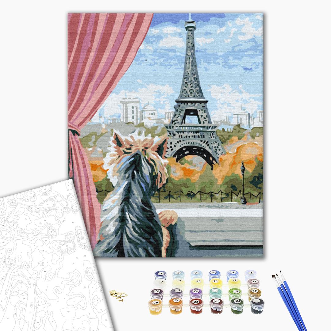 Painting by numbers Paris from the window (BS51700)