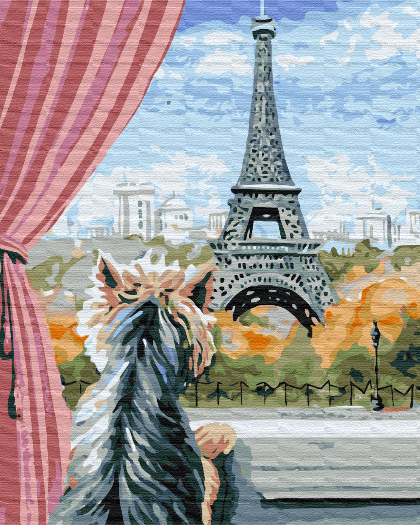 Painting by numbers Paris from the window (BS51700)