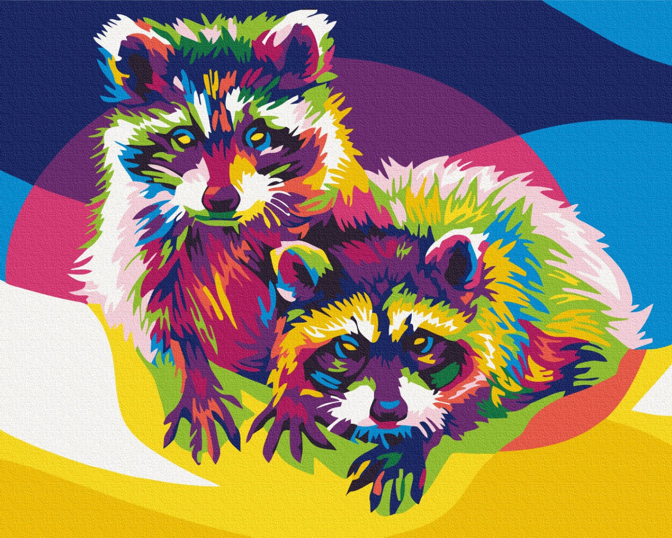 Painting by numbers Rainbow raccoons (BS26202)