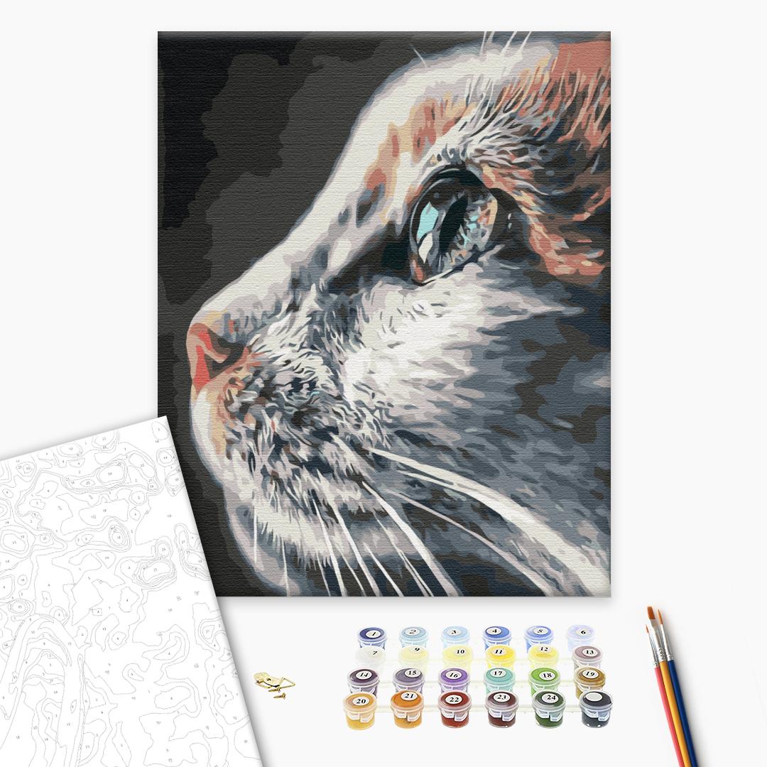 Painting by numbers Cat Profile (BS51792)