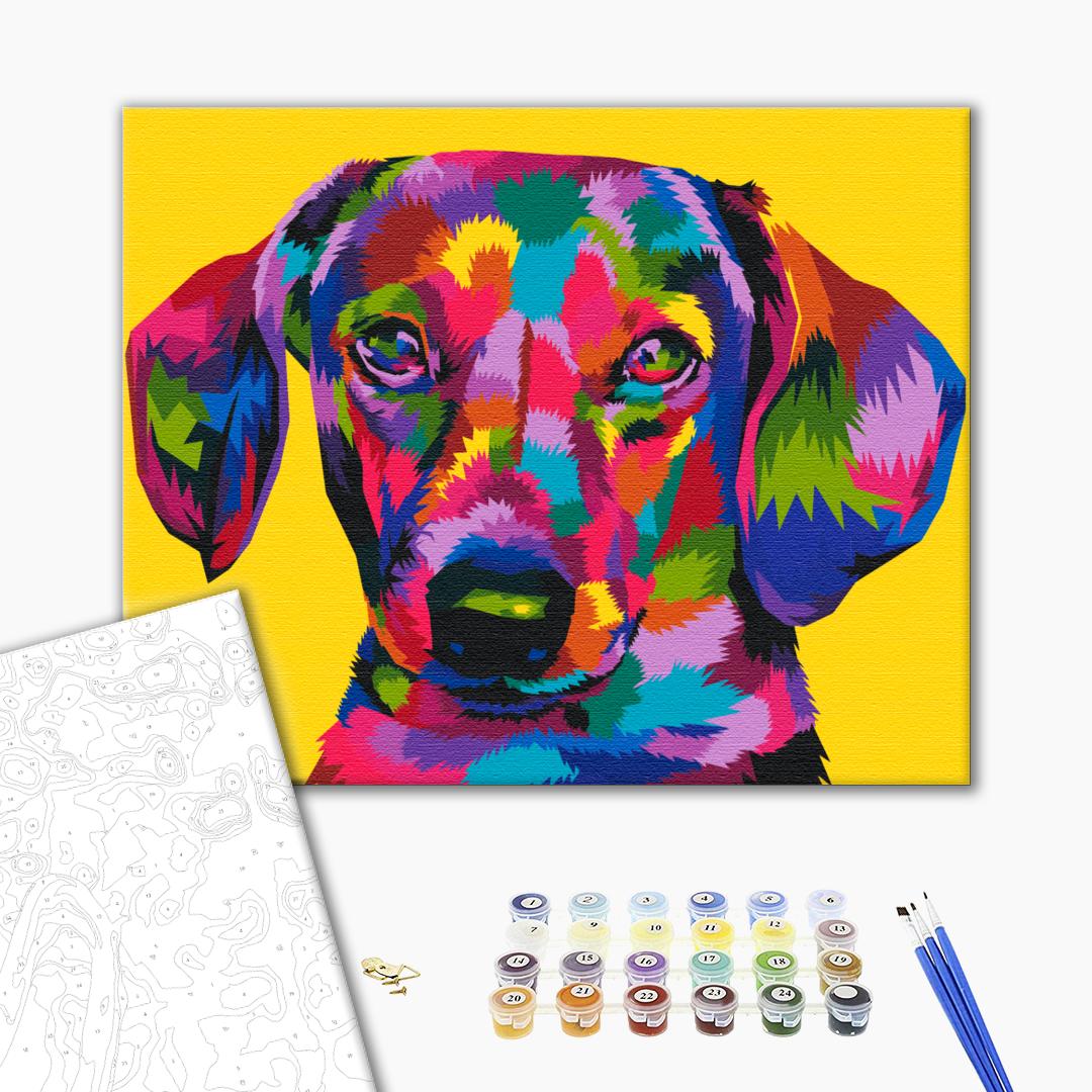 Painting by numbers Rainbow dachshund (BS51794)