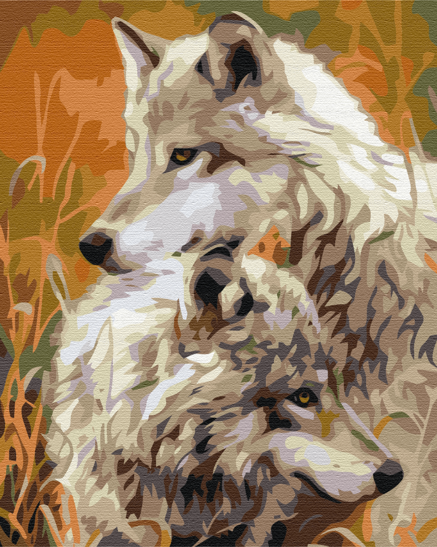 Painting by numbers A pair of steppe wolves (BS51850)