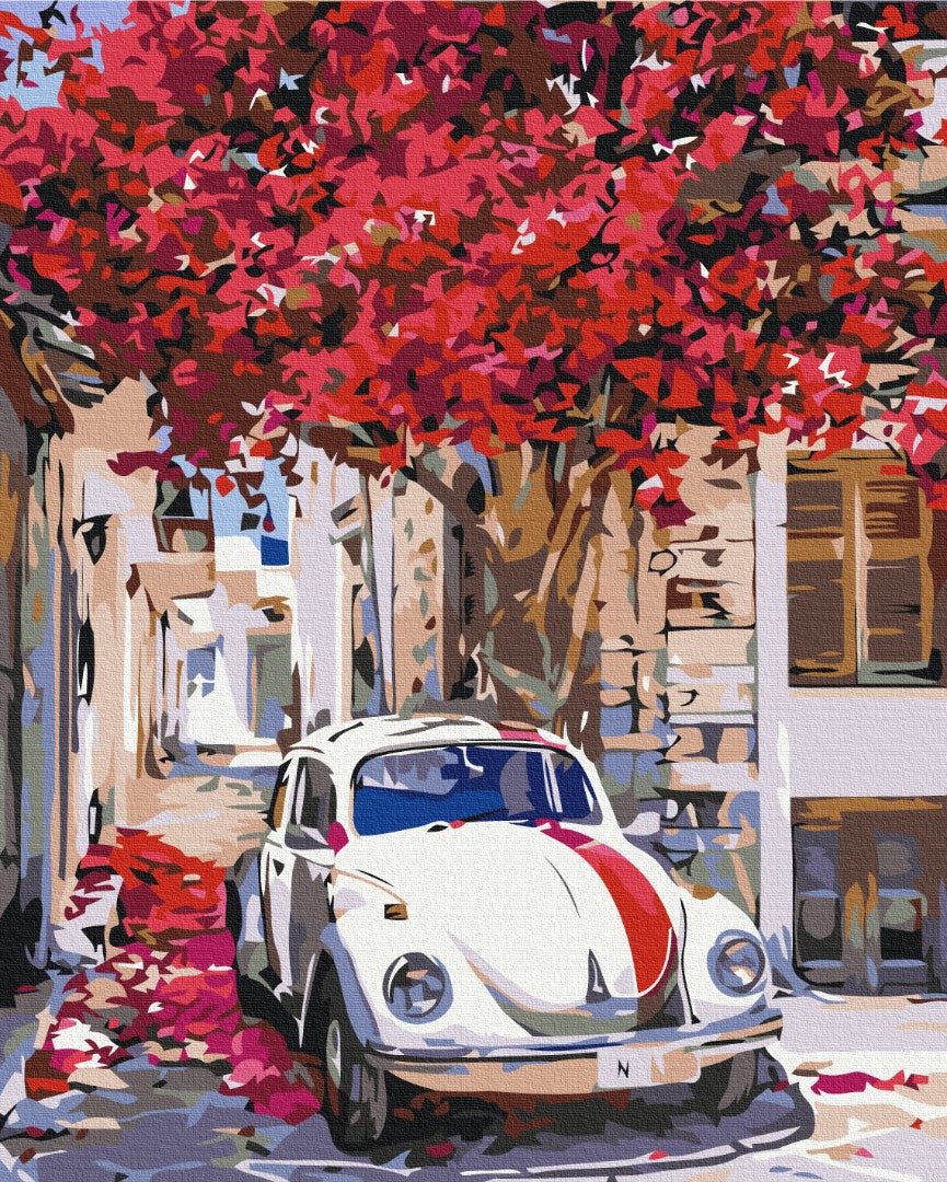 Painting by numbers Cars on a flowering street (BS52310)