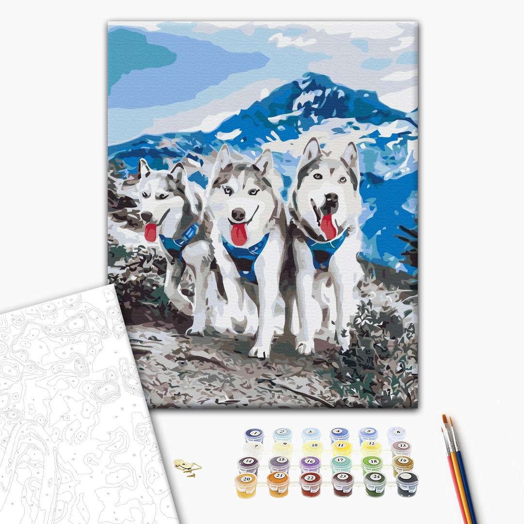 Painting by numbers Husky friends (BS52389)