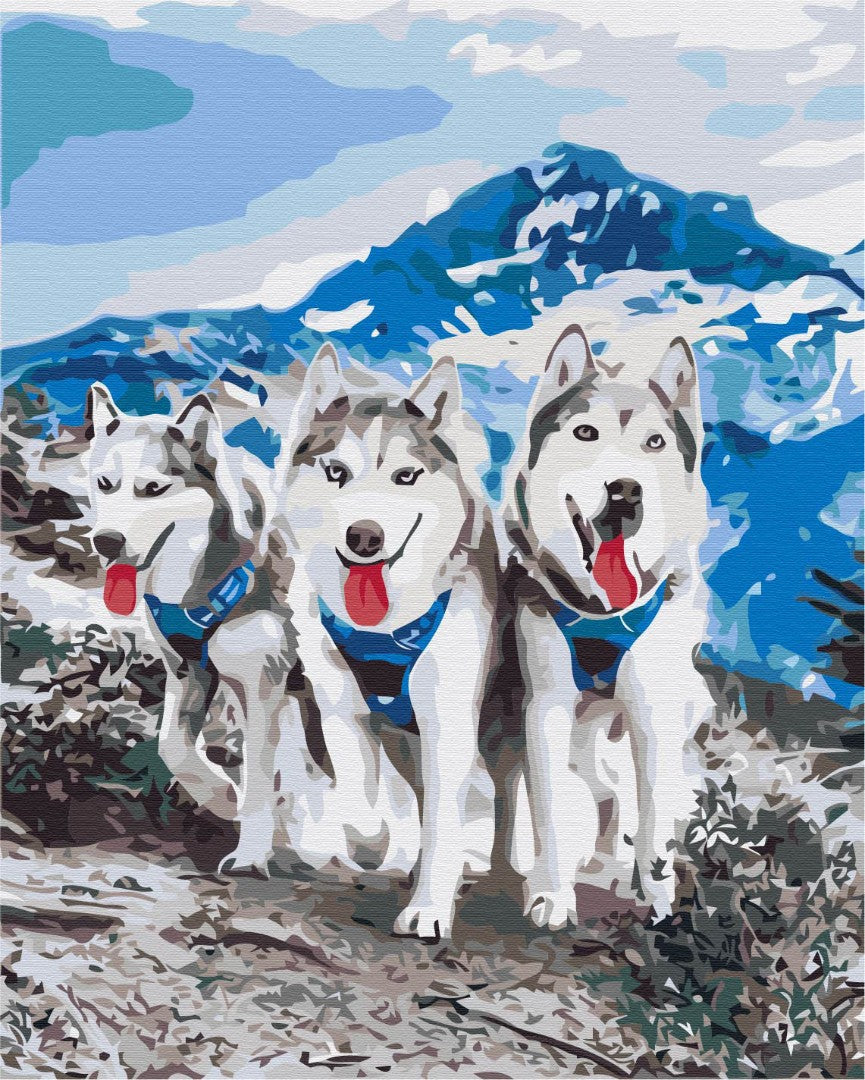 Painting by numbers Husky friends (BS52389)