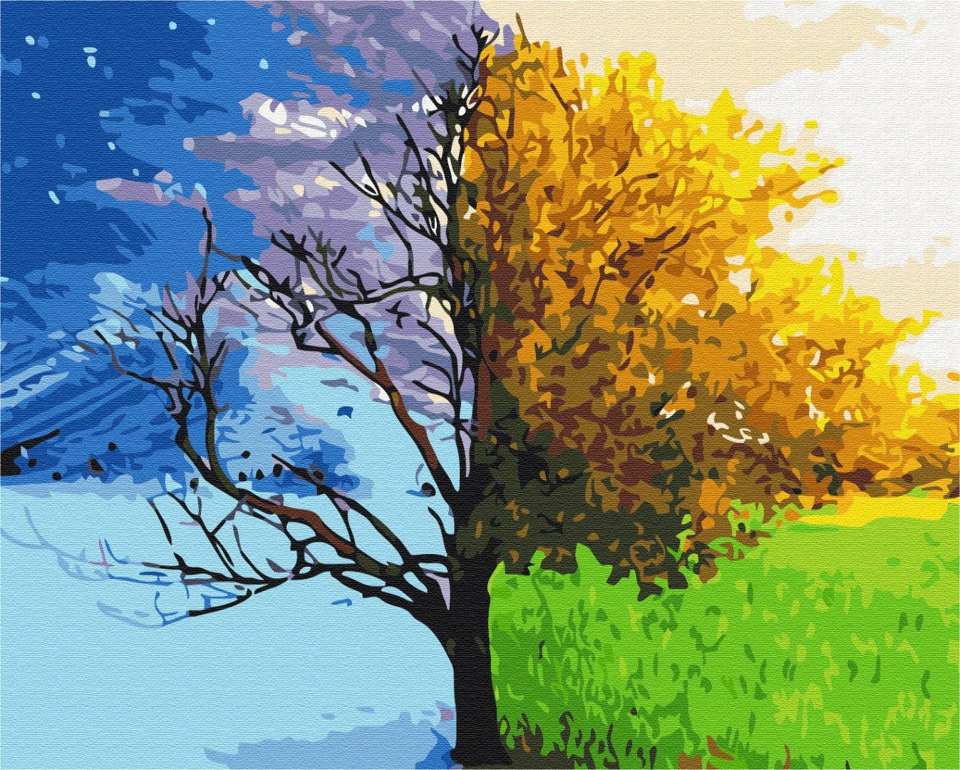 Painting by numbers Change of seasons (BS52399)