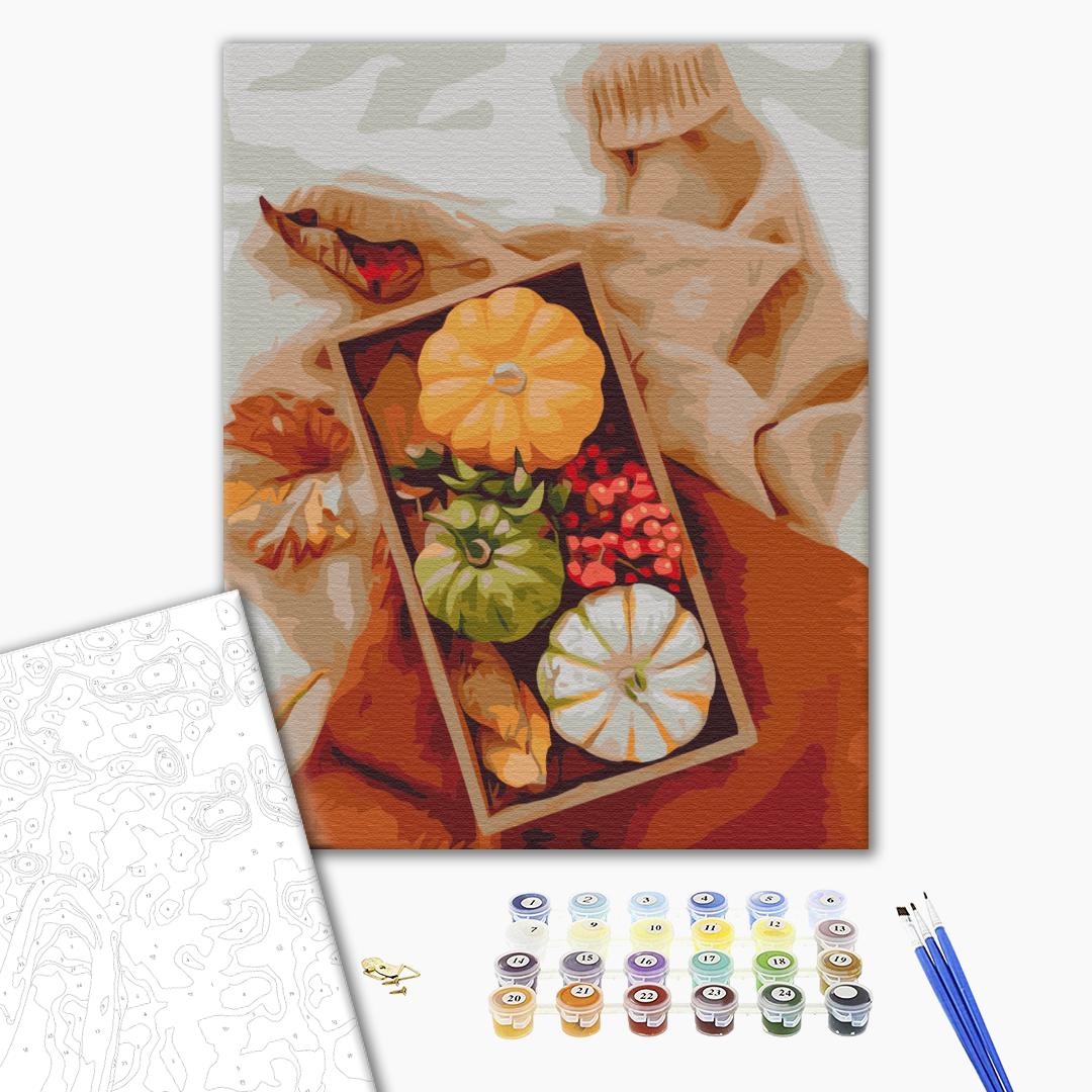 Painting by numbers Autumn gift (BS52461)