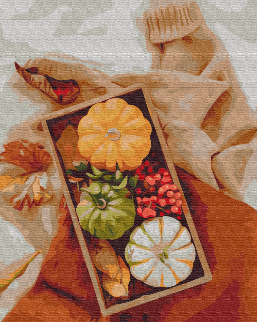 Painting by numbers Autumn gift (BS52461)