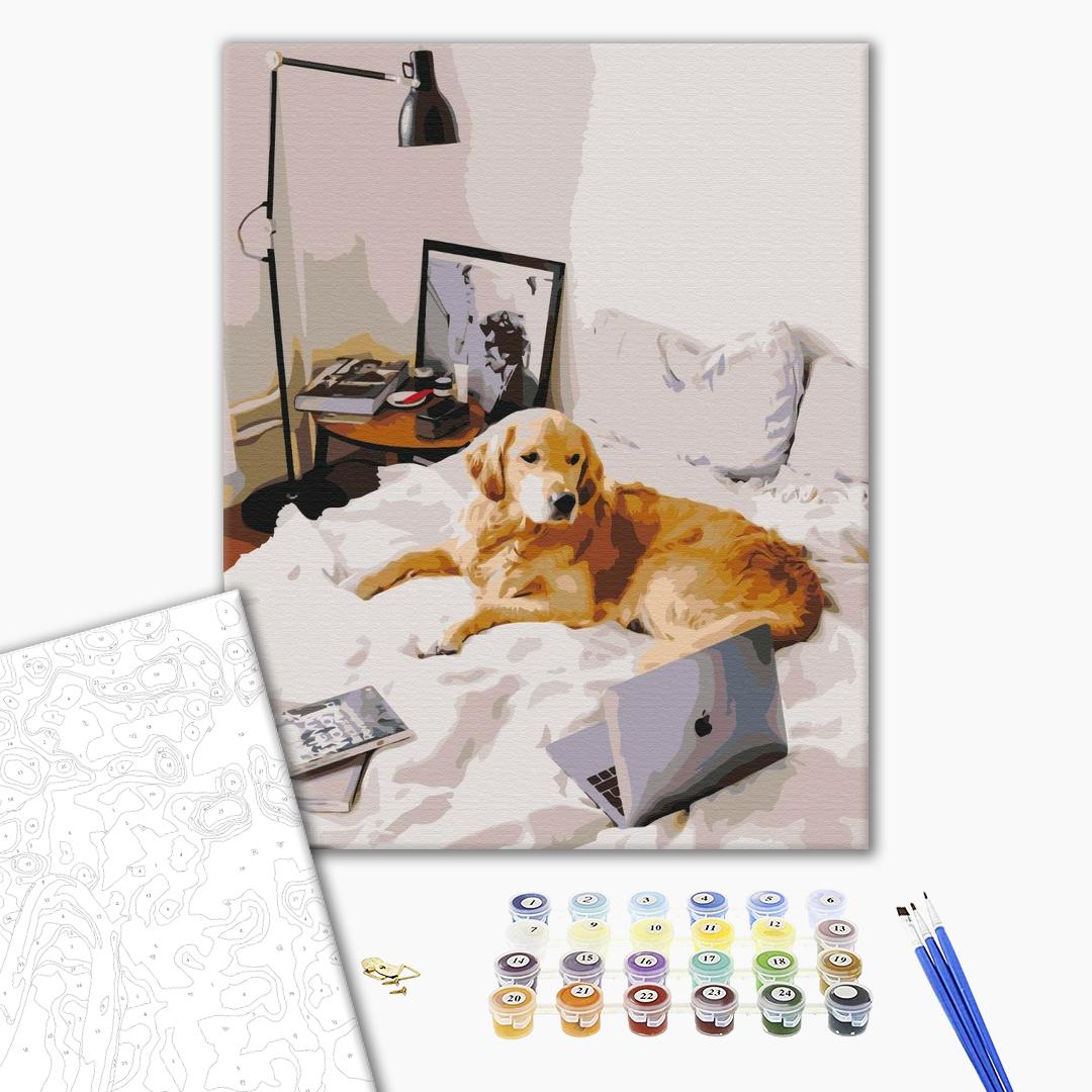 Painting by numbers Home office (BS52477)