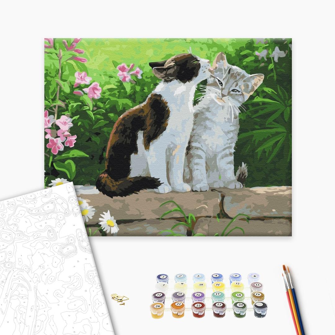 Painting by numbers Couple of kittens (BS3251)