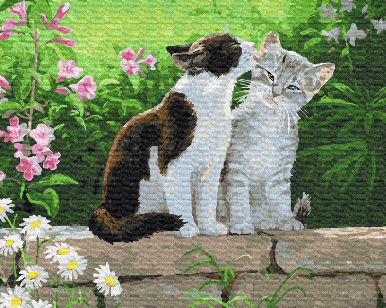 Painting by numbers Couple of kittens (BS3251)