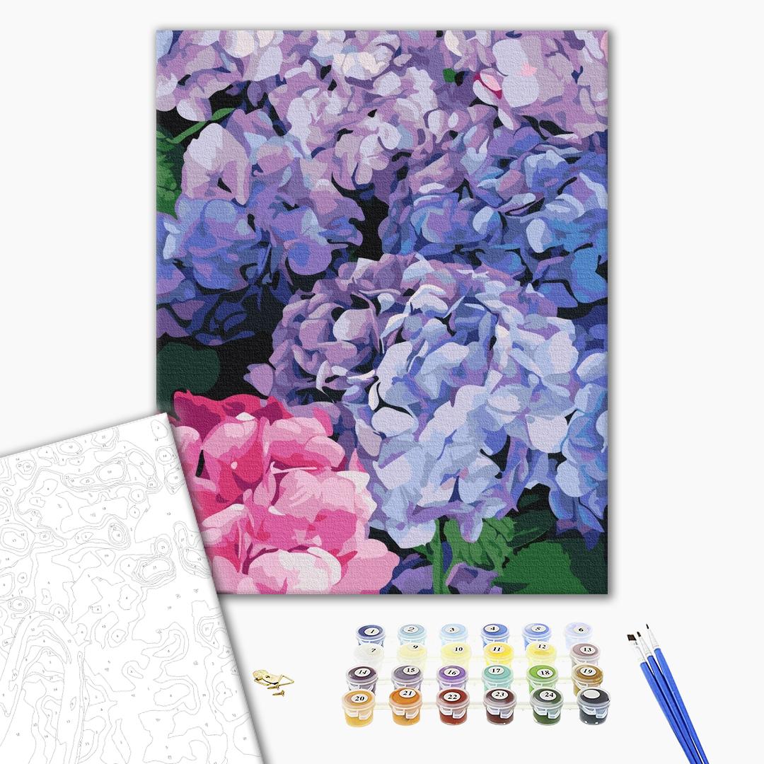 Painting by numbers Bright hydrangea (BS51667)