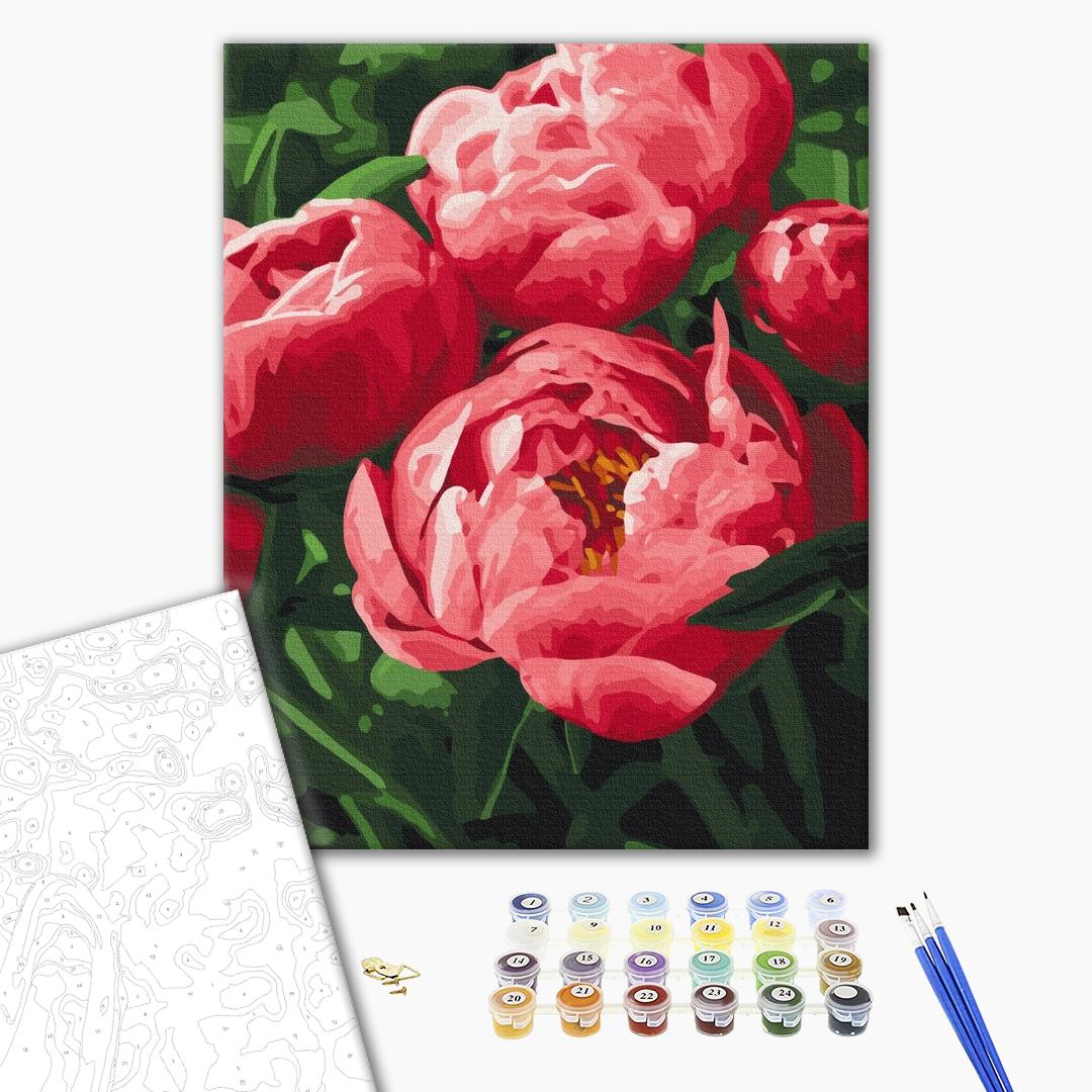 Painting by numbers Saturated color of peonies (BS51711)