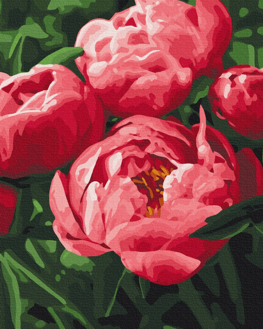 Painting by numbers Saturated color of peonies (BS51711)