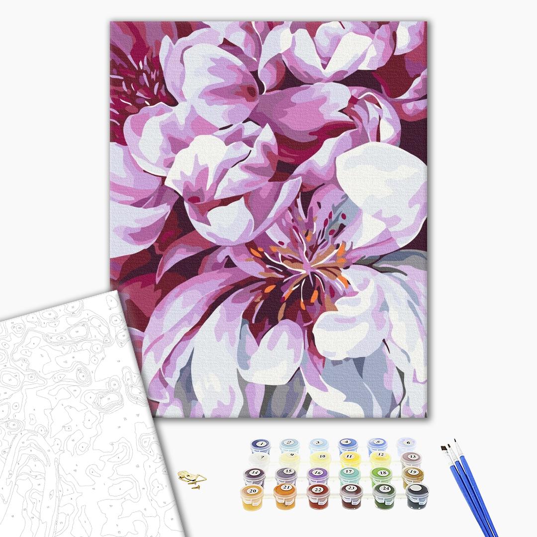 Painting by numbers Color in macro photography (BS51712)