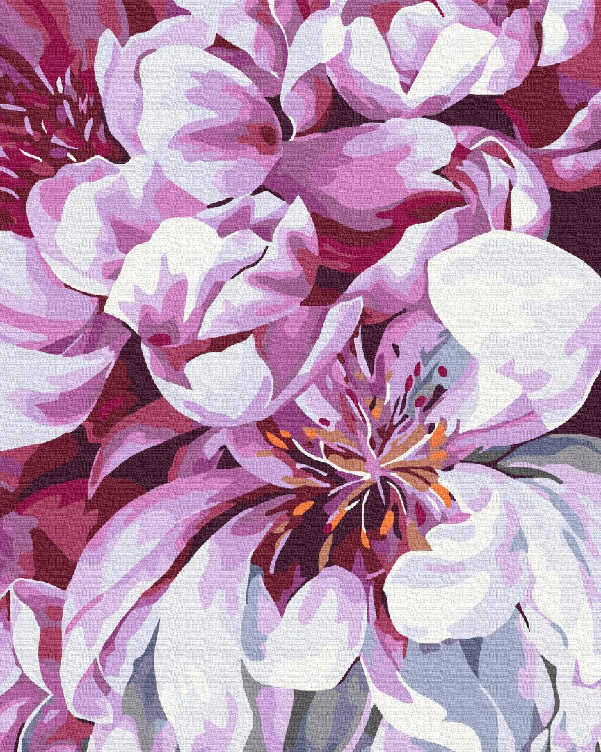 Painting by numbers Color in macro photography (BS51712)