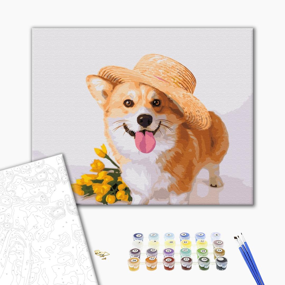 Painting by numbers Gentleman dog (BS52650)