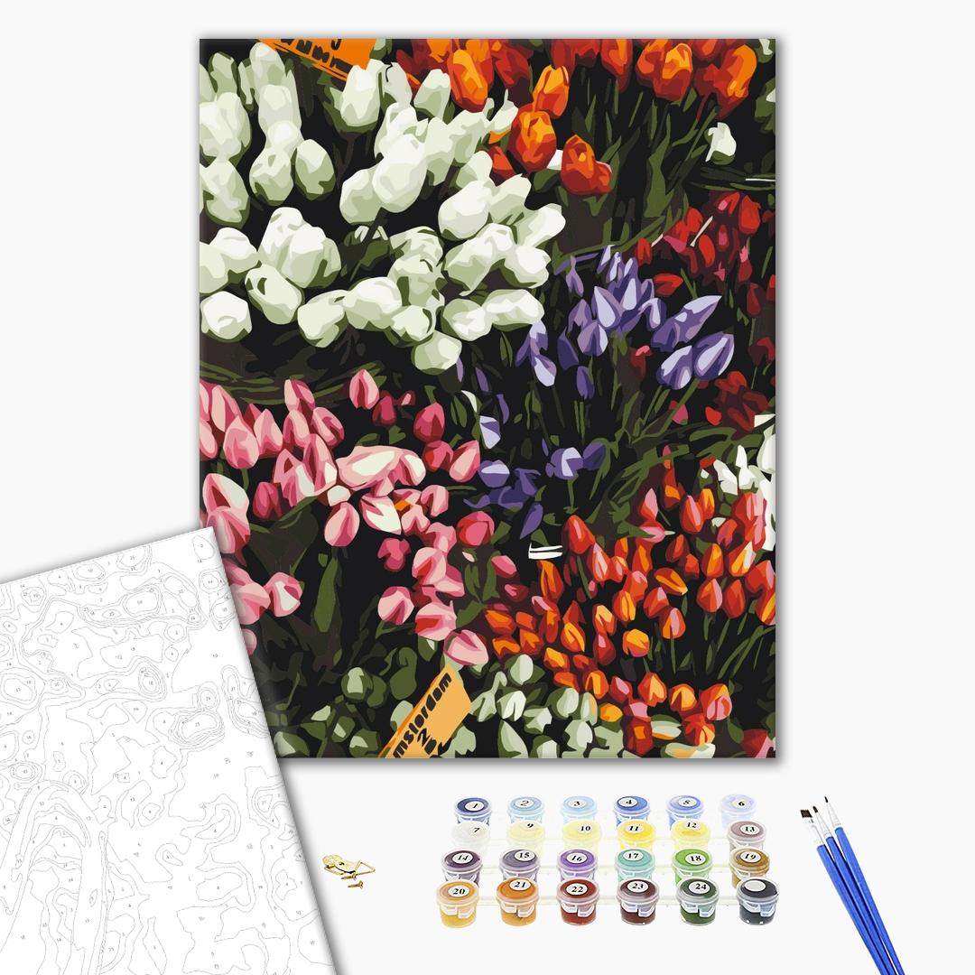 Painting by numbers Tulip fair (BS52646)