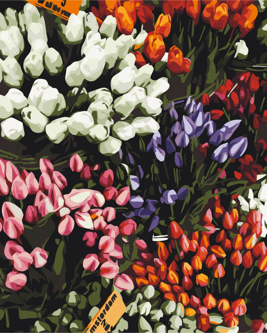 Painting by numbers Tulip fair (BS52646)